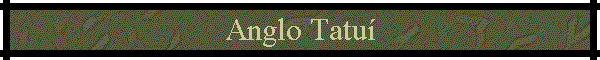 Anglo Tatu